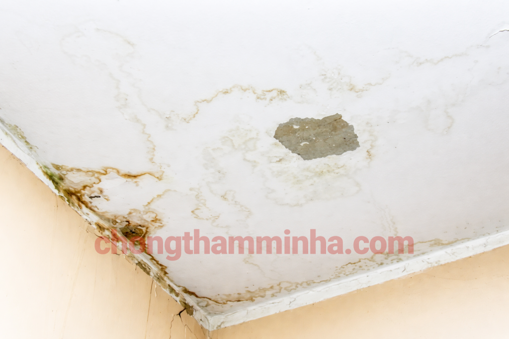 Trần nhà bị thấm nước từ sàn nhà vệ sinh bên trên